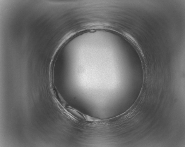 X0000052931384200507292341