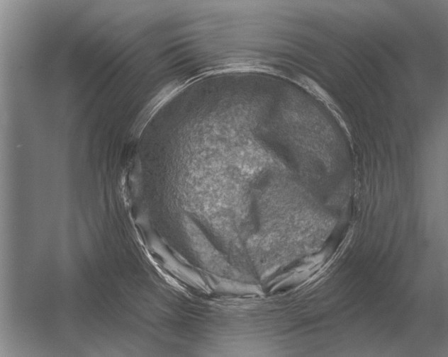 X0000052931385200507292341