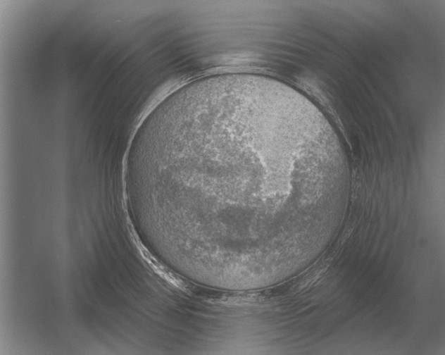 X0000052931386200507292341