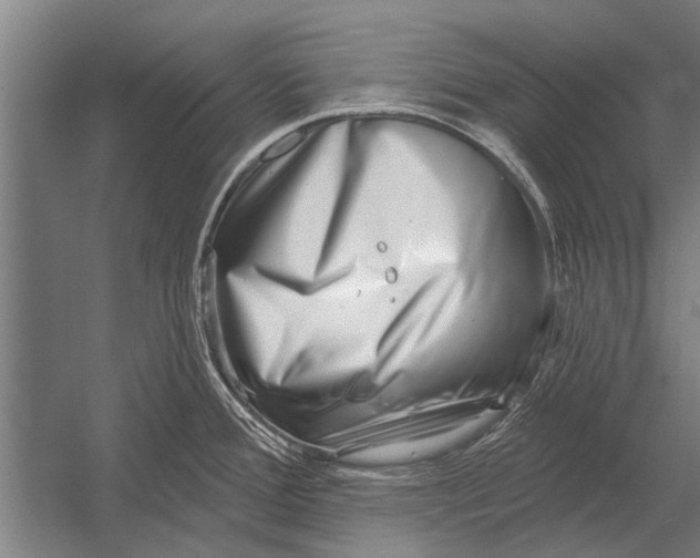 X0000052931388200507292341