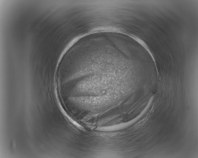 X0000052931389200507292341