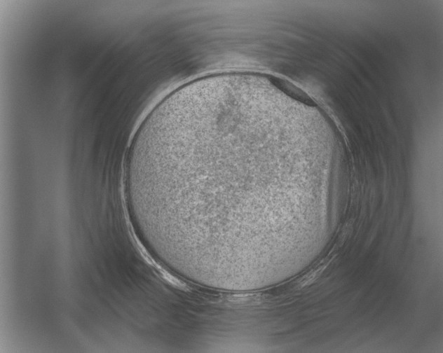 X0000052931390200507292341