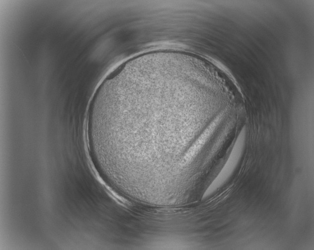 X0000052931391200507292341