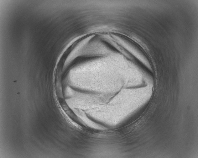 X0000052931392200507292341