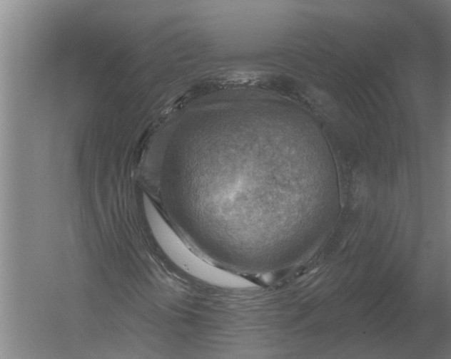 X0000052931394200507292340