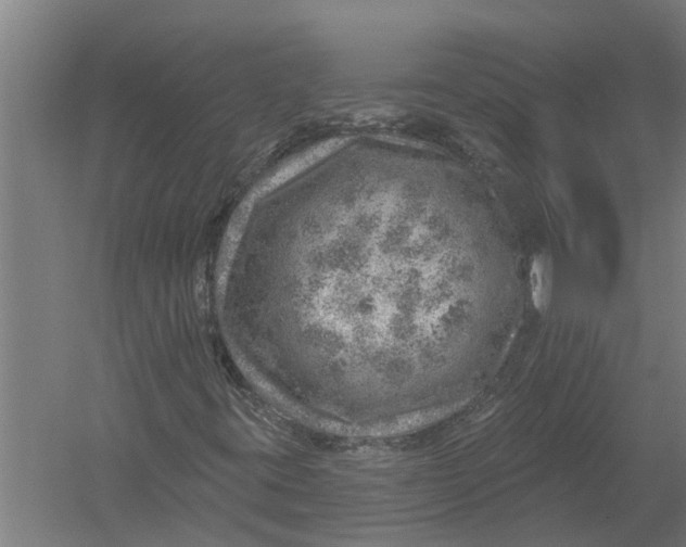 X0000052931395200507292340