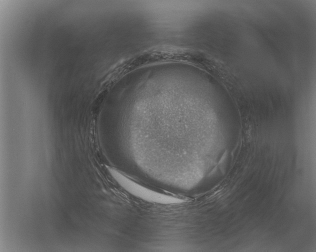 X0000052931397200507292340