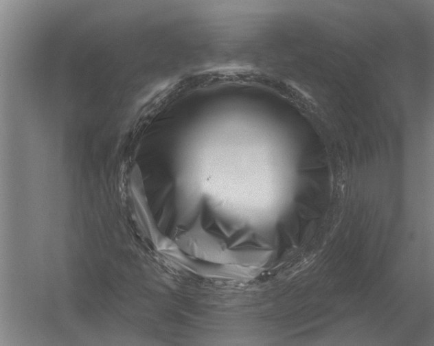 X0000052931398200507292340