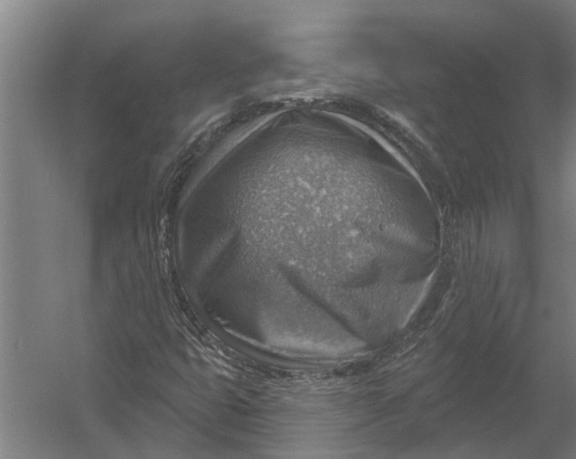 X0000052931399200507292340