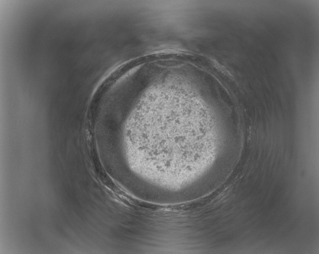 X0000052931400200507292340