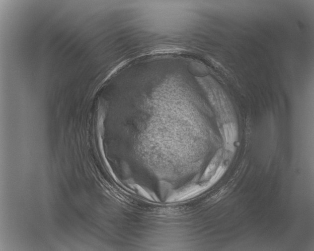 X0000052931401200507292340