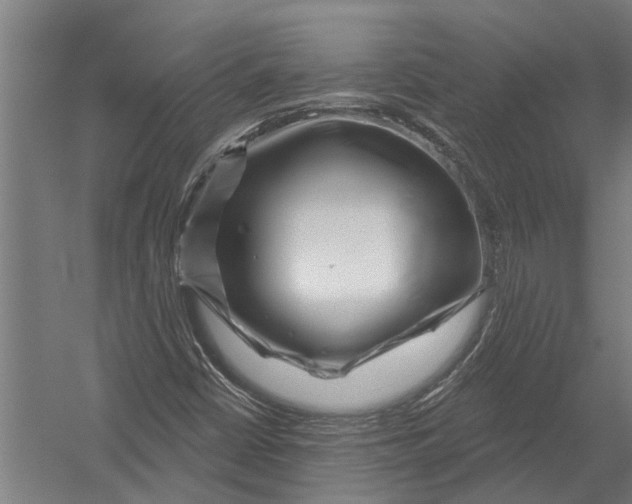 X0000052931402200507292340