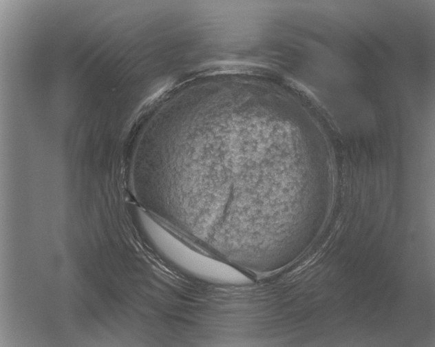 X0000052931403200507292340