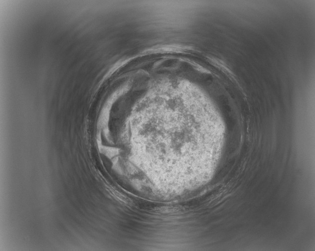 X0000052931404200507292340