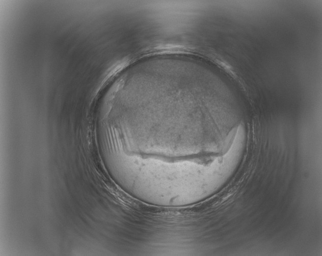 X0000052931405200507292340