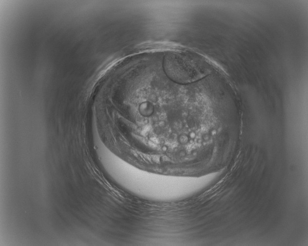 X0000052931407200507292340