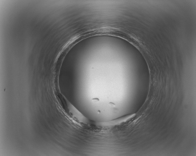 X0000052931410200507292340