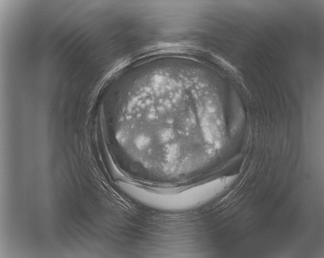 X0000052931411200507292340