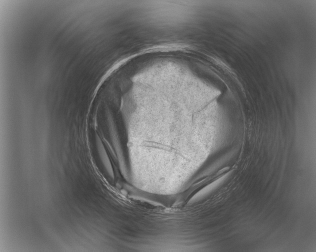 X0000052931412200507292340