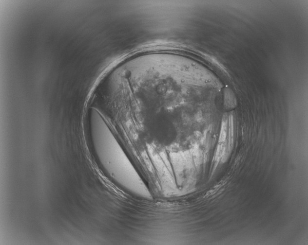 X0000052931413200507292340