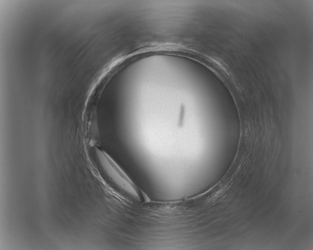 X0000052931414200507292340