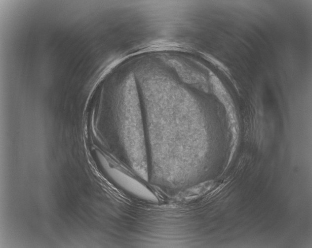 X0000052931415200507292340