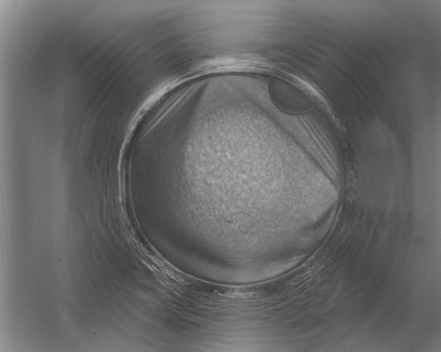 X0000052931419200507292340