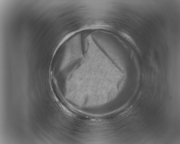 X0000052931420200507292340