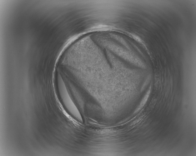 X0000052931421200507292340