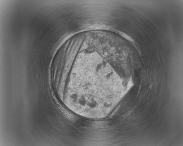 X0000052931423200507292340