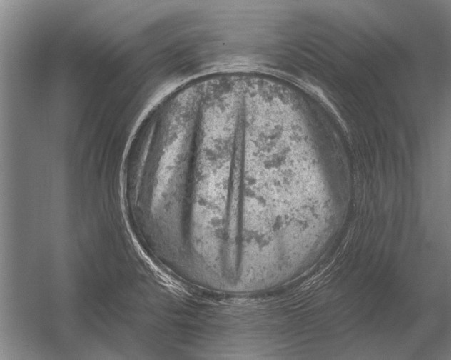 X0000052931424200507292340