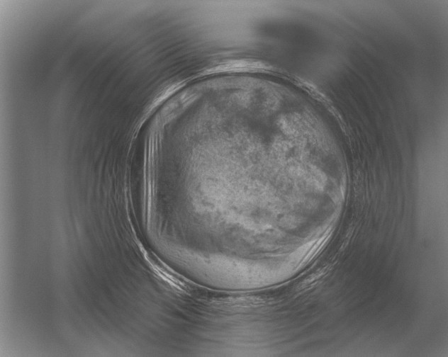 X0000052931425200507292340