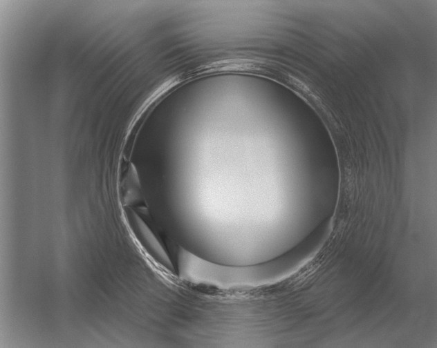 X0000052931426200507292340