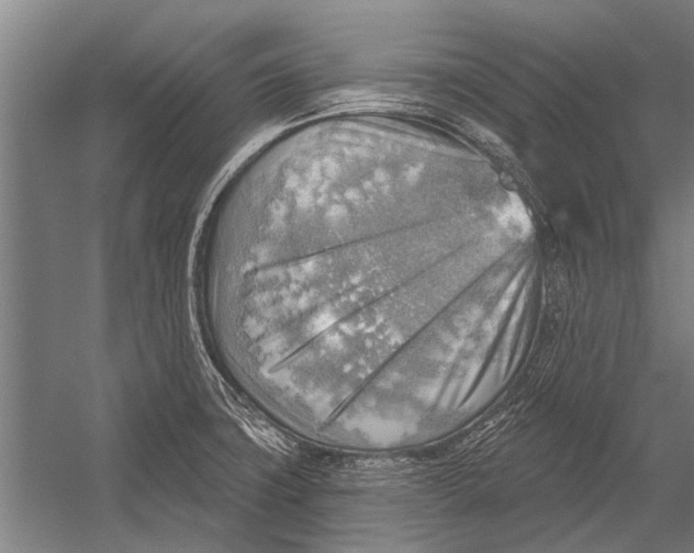 X0000052931427200507292340