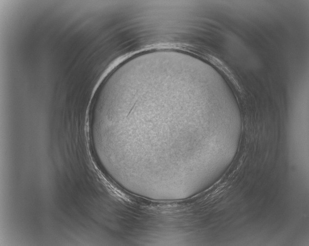 X0000052931428200507292340