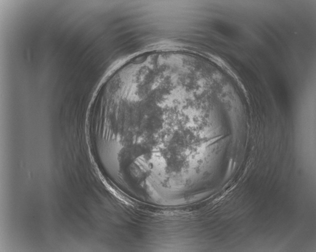 X0000052931429200507292340