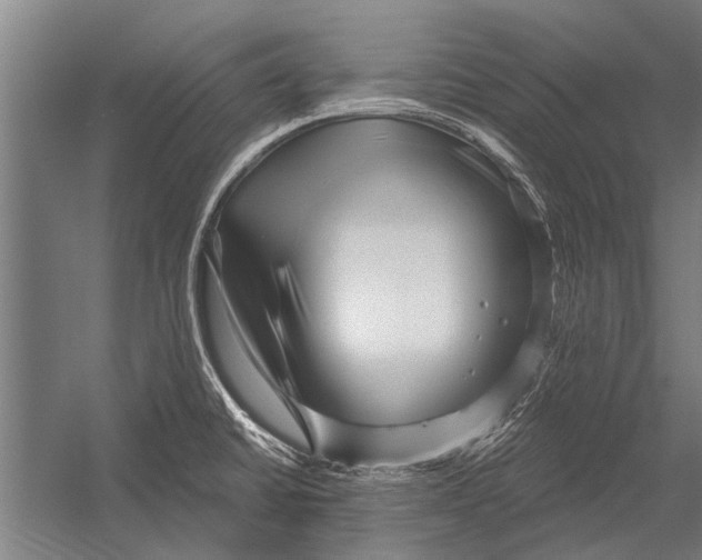 X0000052931430200507292340