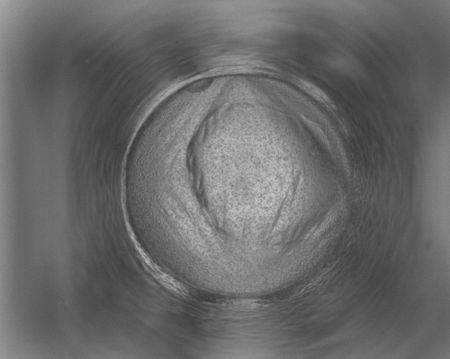 X0000052931431200507292340