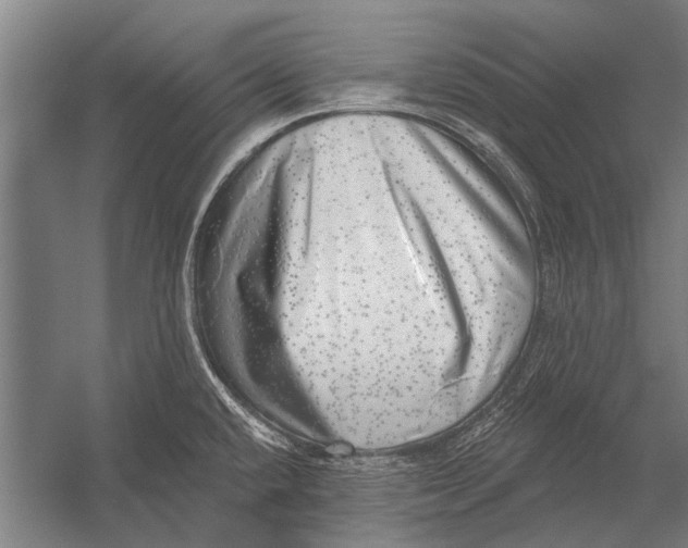 X0000052931432200507292340