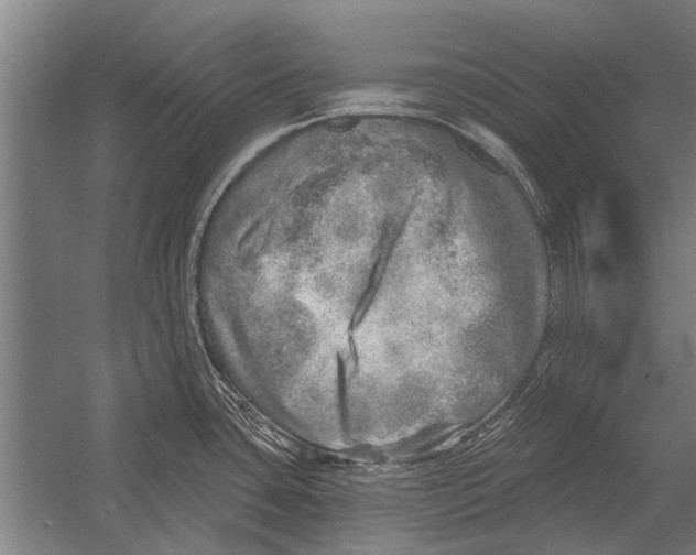 X0000052931435200507292340