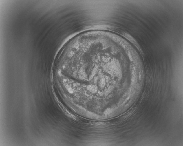 X0000052931436200507292340