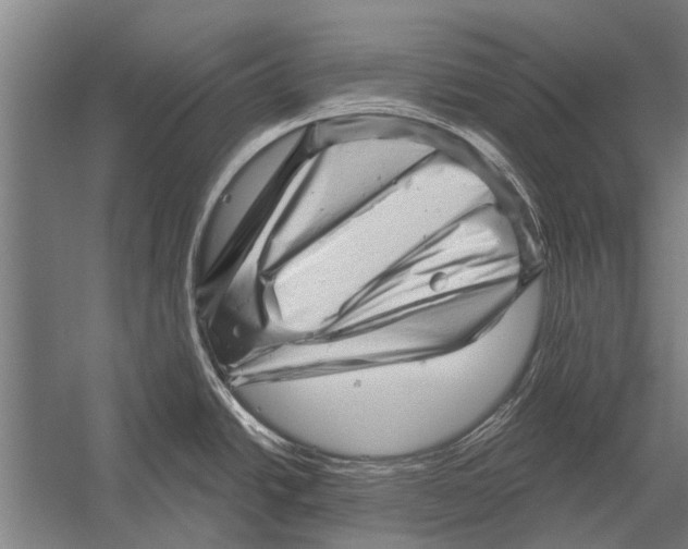 X0000052931438200507292340