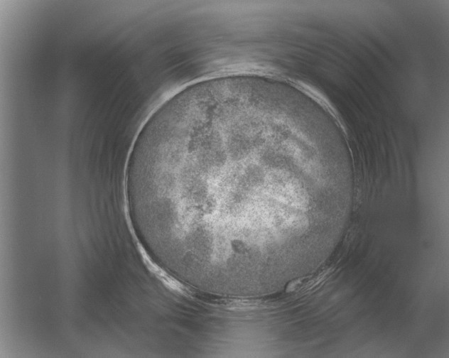 X0000052931439200507292341