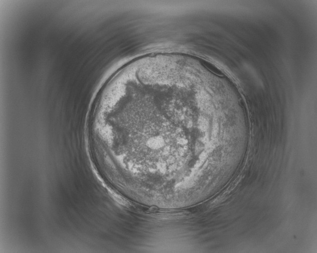 X0000052931440200507292341