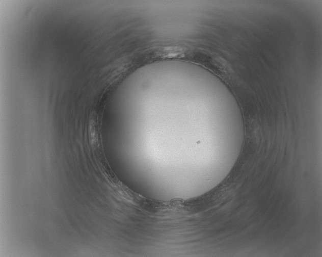 X0000052931442200507292340