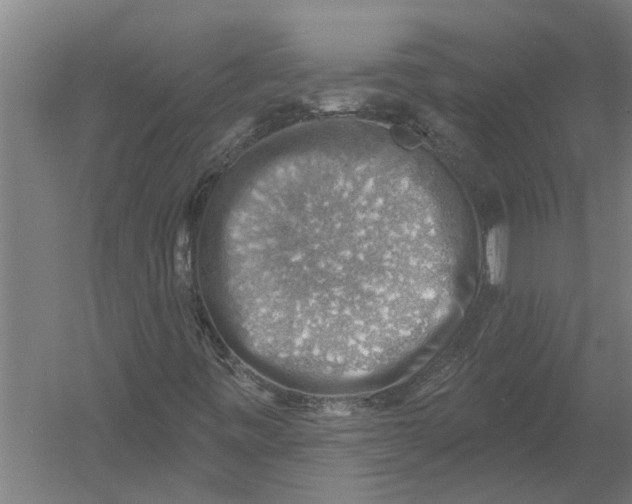 X0000052931443200507292340