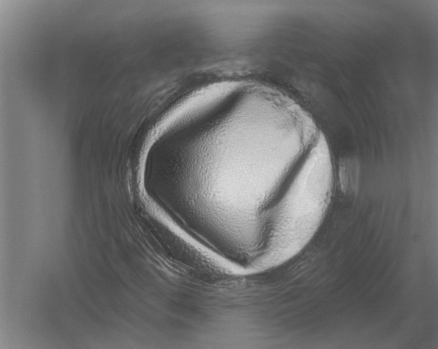 X0000052931444200507292340