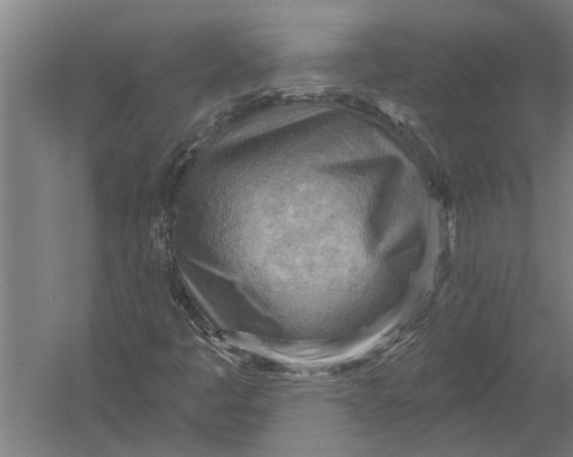 X0000052931445200507292340