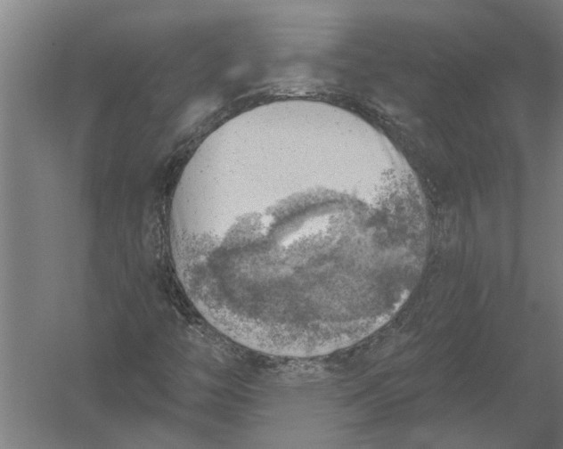 X0000052931446200507292340