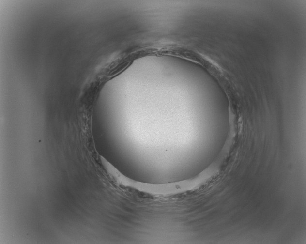 X0000052931447200507292340